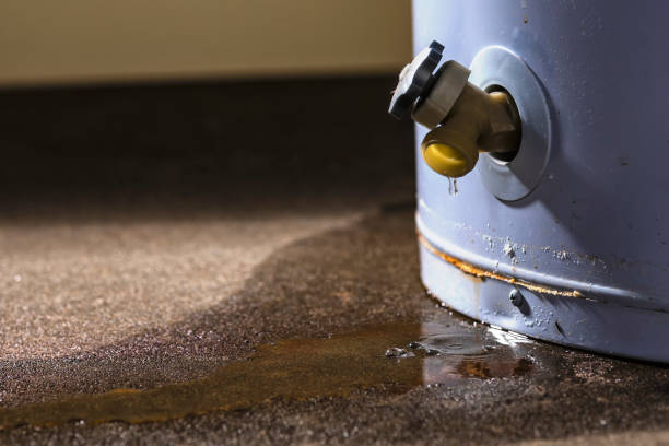 Water damage restoration mold remediation in Black Forest, CO