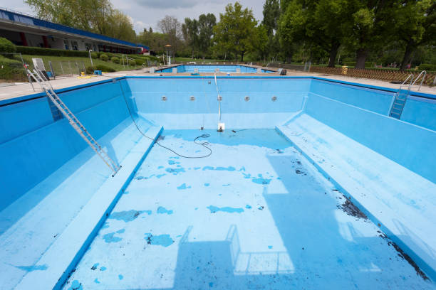 Best Water damage cleanup near me  in Black Forest, CO