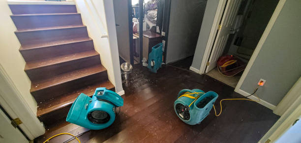 Best Ceiling water damage repair  in Black Forest, CO