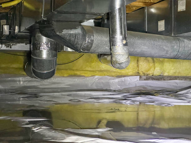 Trusted Black Forest, CO Water damage restoration Experts