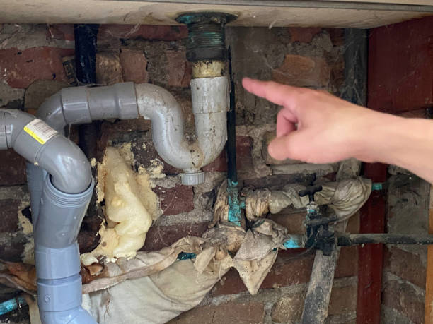 Best Fire Damage Restoration  in Black Forest, CO