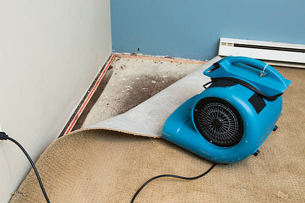 Best 24-hour water damage restoration  in Black Forest, CO